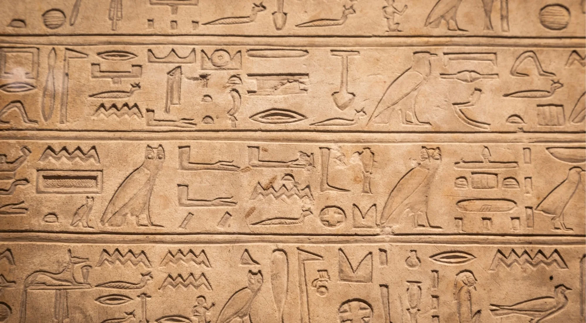 Turin Egyptian Museum grand hall — granite statues and ancient artefacts across three floors