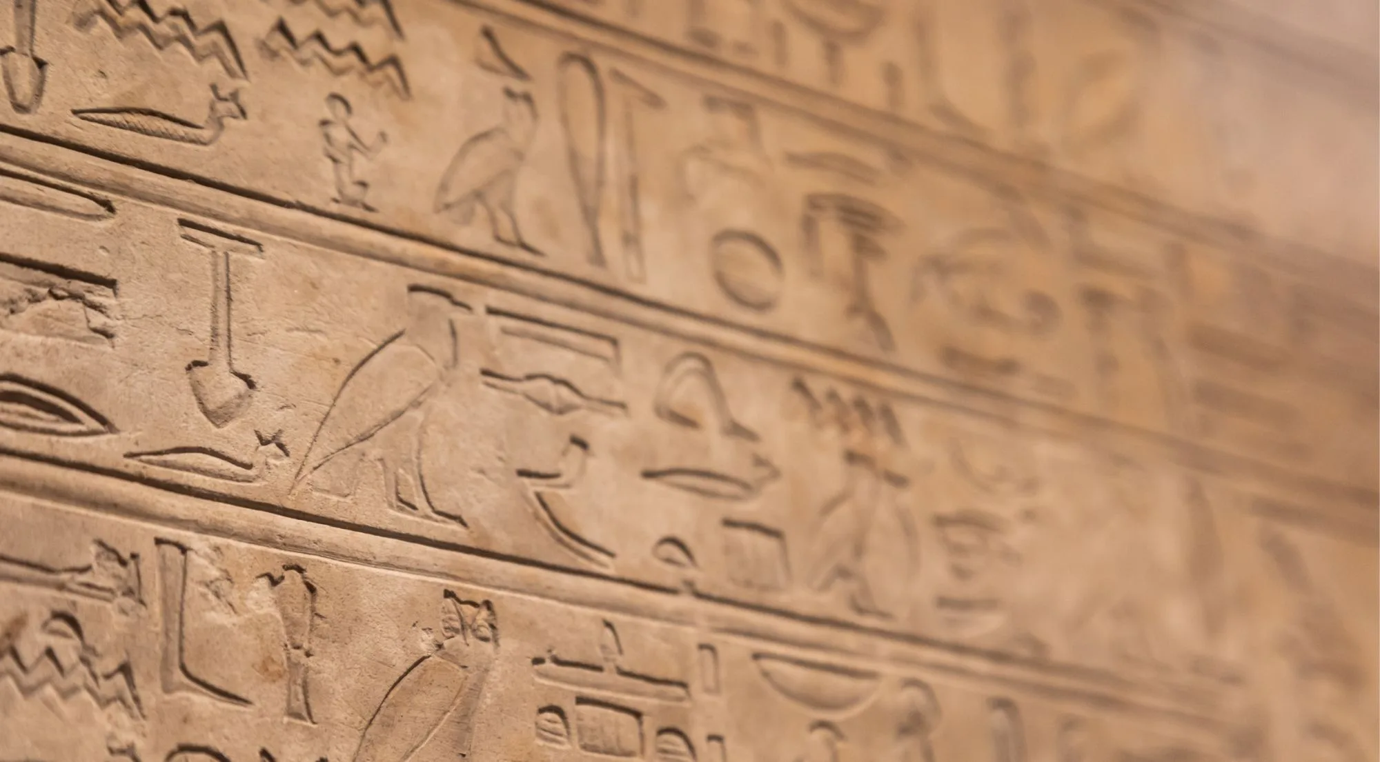 Daily life artefacts and household objects from Ancient Egypt on display in Turin