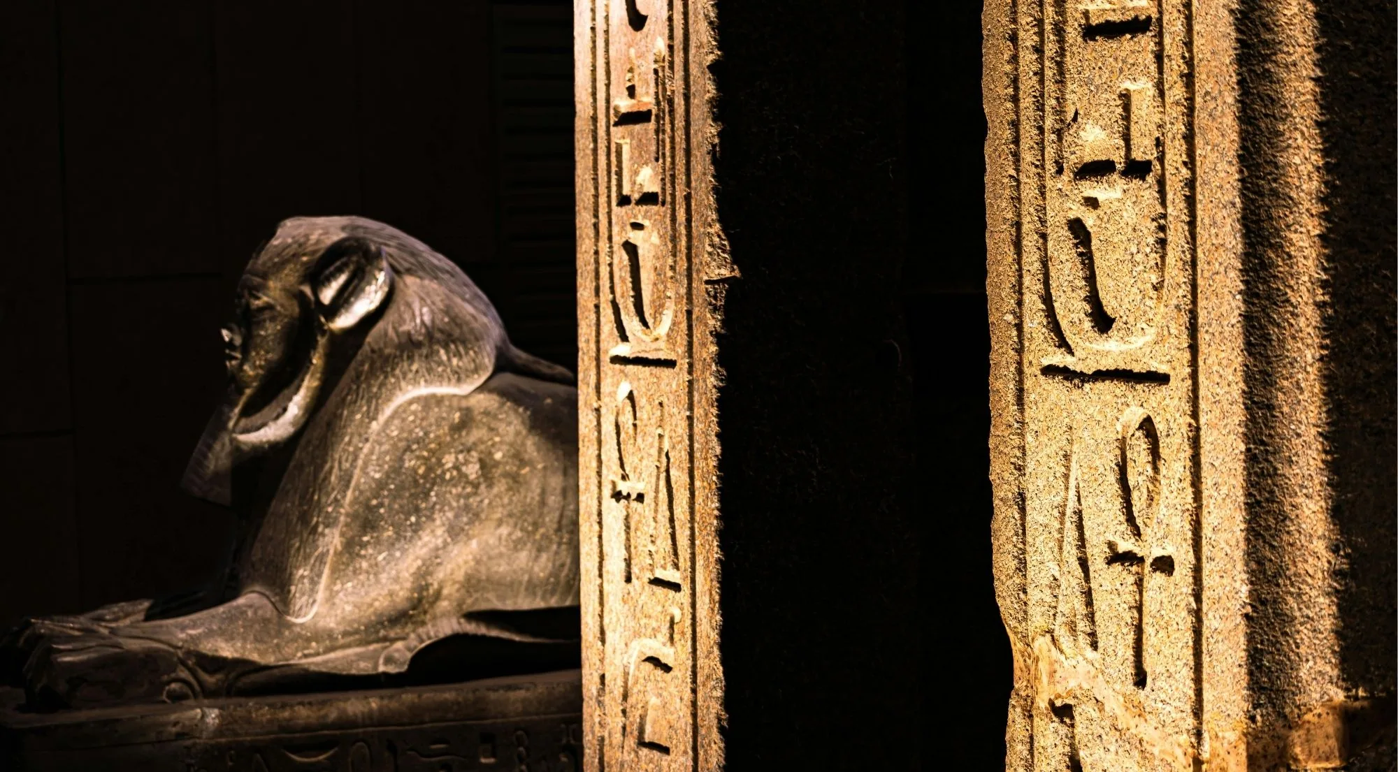 Turin: Egyptian Museum Small Group Skip-the-Line Guided Tour